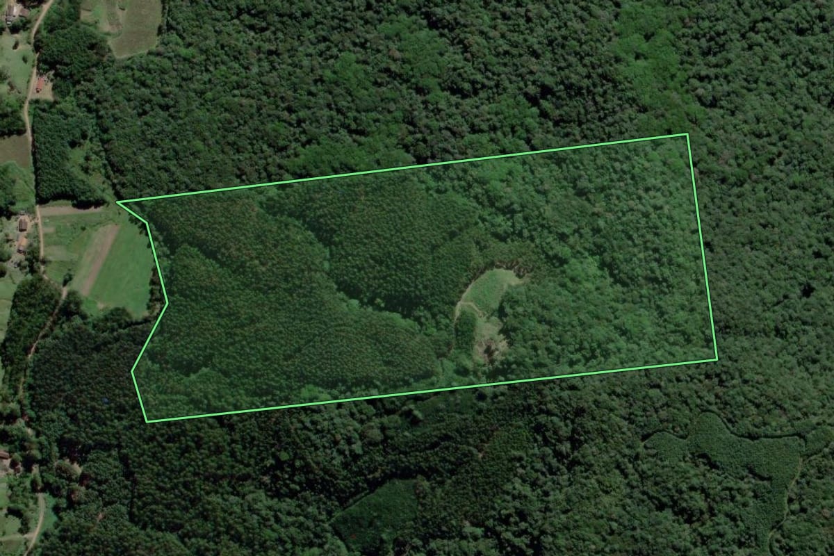Imagem de satélite do imóvel rural em Benedito Novo (SC), com o contorno declarado no CAR desenhado por cima.