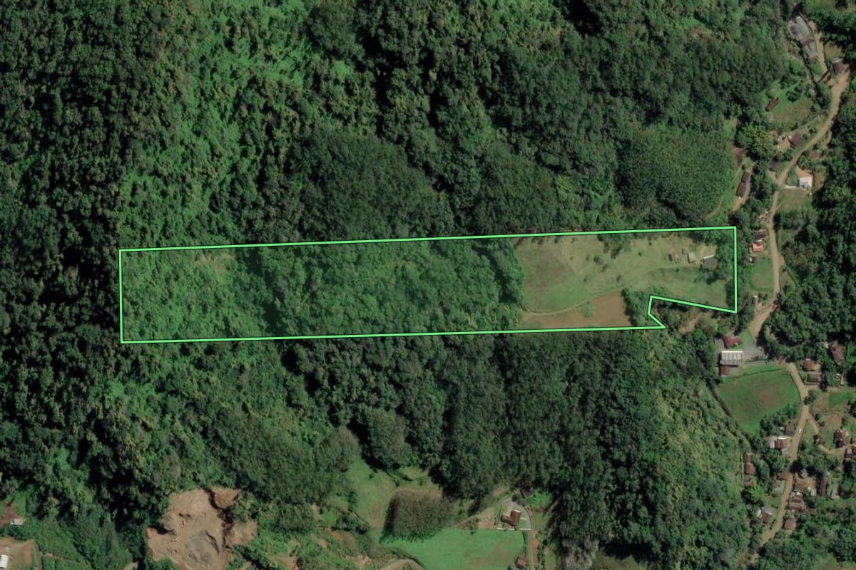 Imagem de satélite do imóvel rural em Benedito Novo (SC), com o contorno declarado no CAR desenhado por cima.