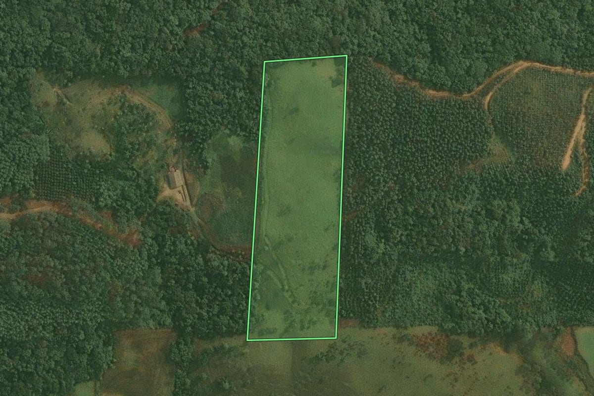 Imagem de satélite do imóvel rural em Benedito Novo (SC), com o contorno declarado no CAR desenhado por cima.