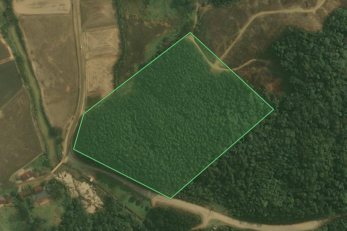 Imagem de satélite do imóvel rural em Benedito Novo (SC), com o contorno declarado no CAR desenhado por cima.