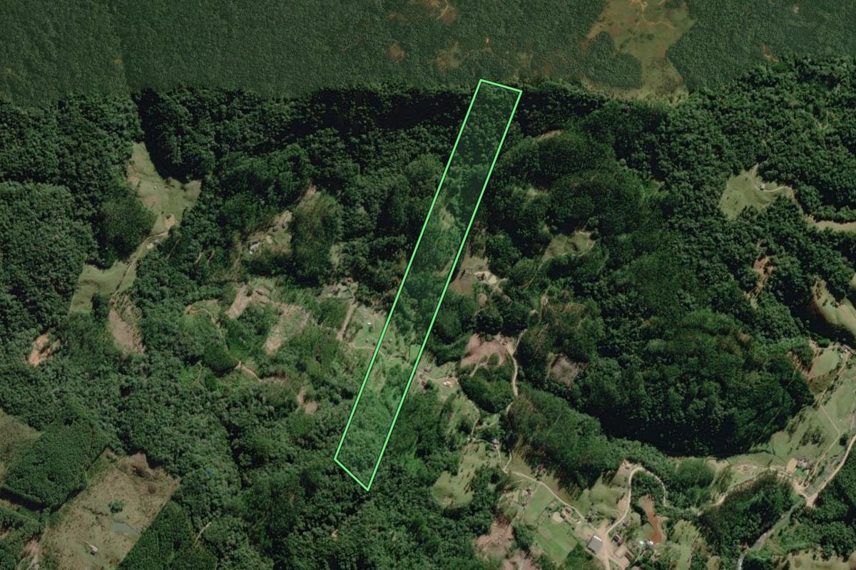 Imagem de satélite do imóvel rural em Benedito Novo (SC), com o contorno declarado no CAR desenhado por cima.