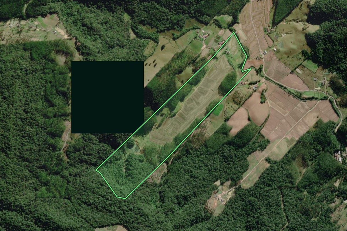 Imagem de satélite do imóvel rural em Benedito Novo (SC), com o contorno declarado no CAR desenhado por cima.