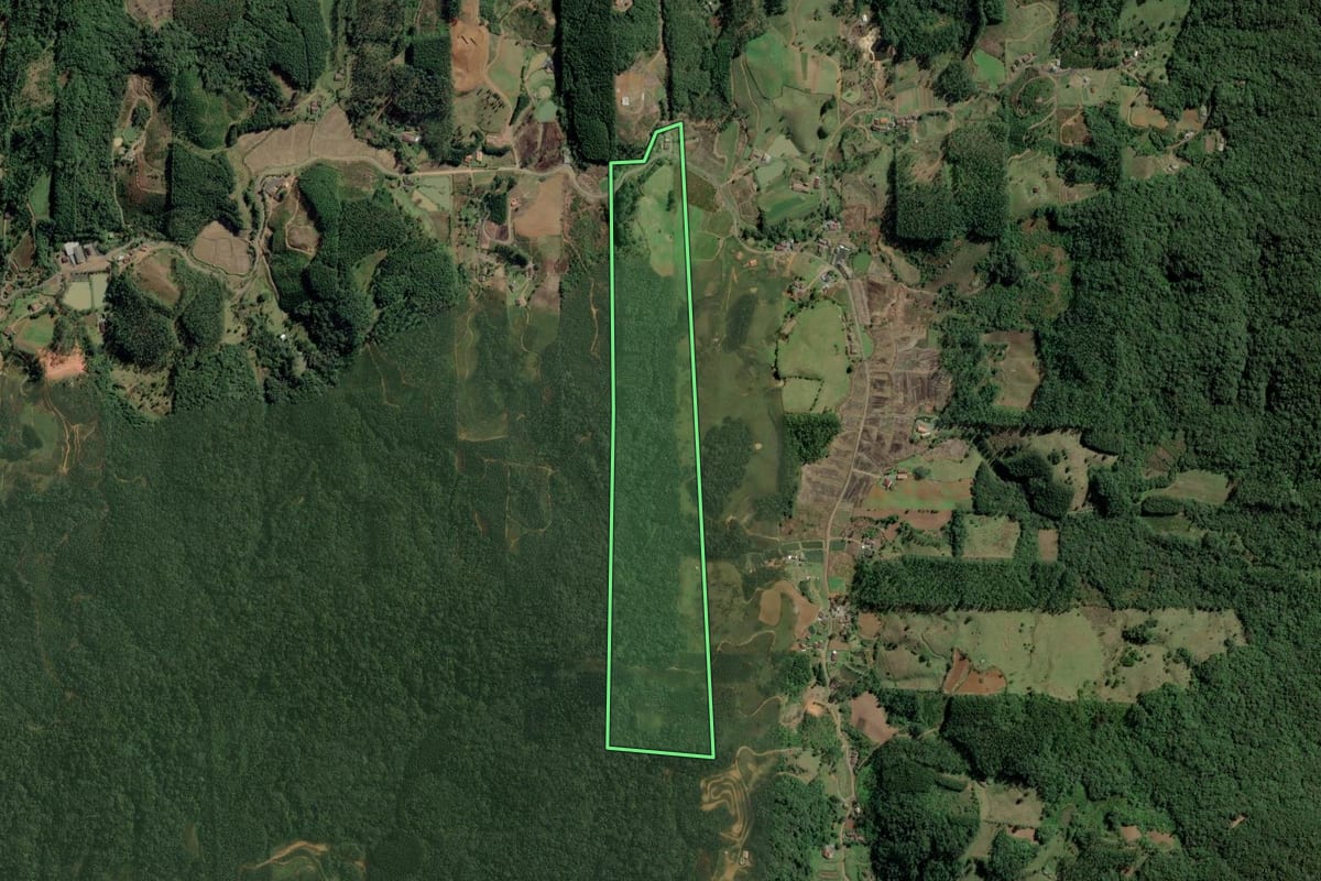 Imagem de satélite do imóvel rural em Benedito Novo (SC), com o contorno declarado no CAR desenhado por cima.