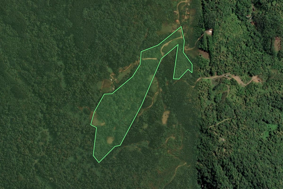 Imagem de satélite do imóvel rural em Benedito Novo (SC), com o contorno declarado no CAR desenhado por cima.