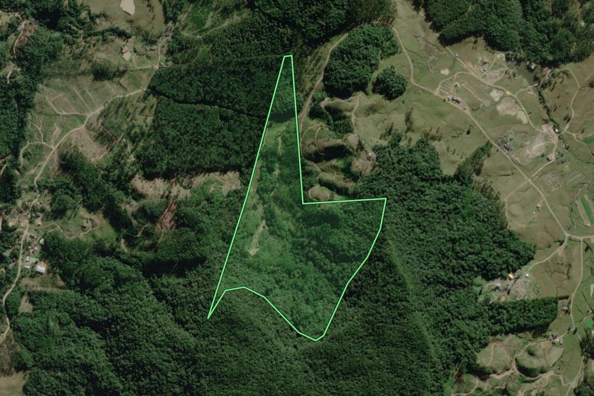 Imagem de satélite do imóvel rural em Benedito Novo (SC), com o contorno declarado no CAR desenhado por cima.