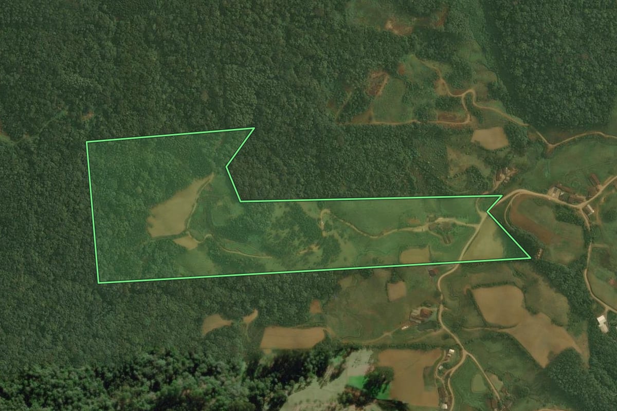 Imagem de satélite do imóvel rural em Benedito Novo (SC), com o contorno declarado no CAR desenhado por cima.