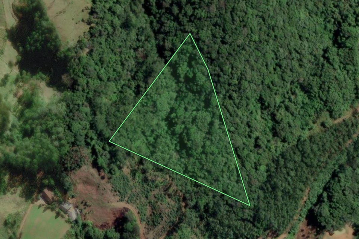 Imagem de satélite do imóvel rural em Benedito Novo (SC), com o contorno declarado no CAR desenhado por cima.