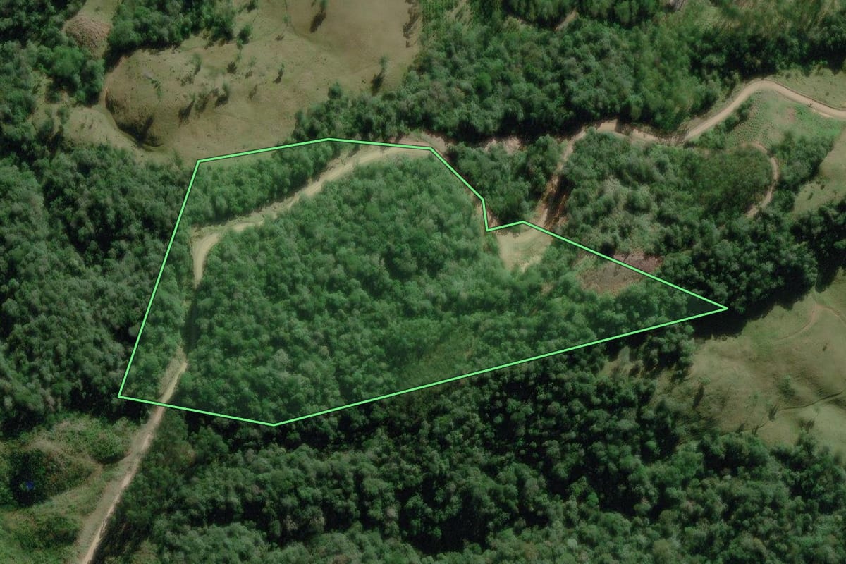 Imagem de satélite do imóvel rural em Benedito Novo (SC), com o contorno declarado no CAR desenhado por cima.