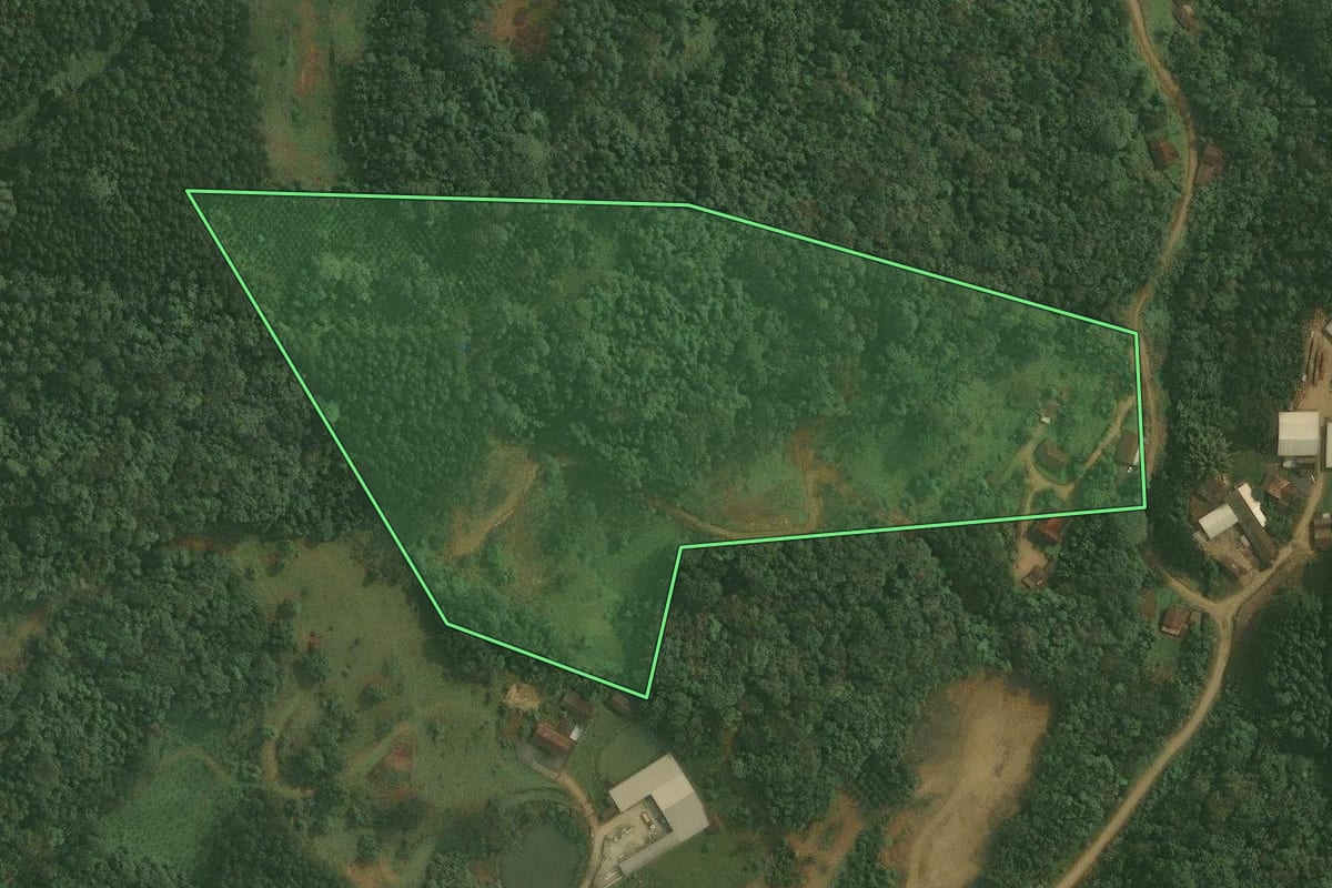 Imagem de satélite do imóvel rural em Benedito Novo (SC), com o contorno declarado no CAR desenhado por cima.