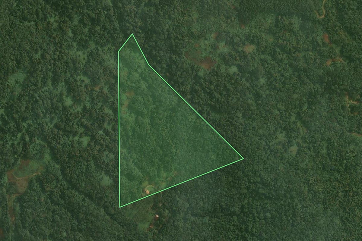 Imagem de satélite do imóvel rural em Benedito Novo (SC), com o contorno declarado no CAR desenhado por cima.