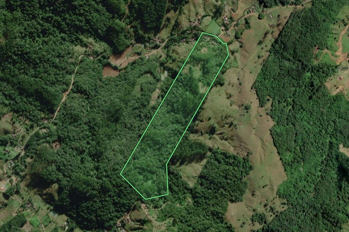 Imagem de satélite do imóvel rural em Benedito Novo (SC), com o contorno declarado no CAR desenhado por cima.