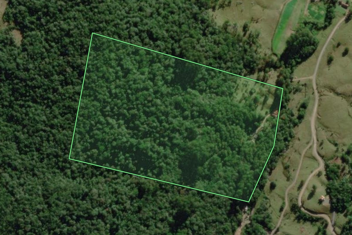 Imagem de satélite do imóvel rural em Benedito Novo (SC), com o contorno declarado no CAR desenhado por cima.