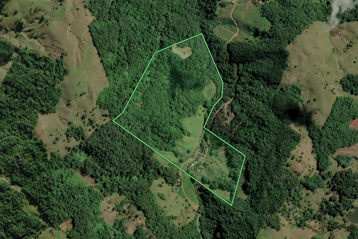 Imagem de satélite do imóvel rural em Benedito Novo (SC), com o contorno declarado no CAR desenhado por cima.