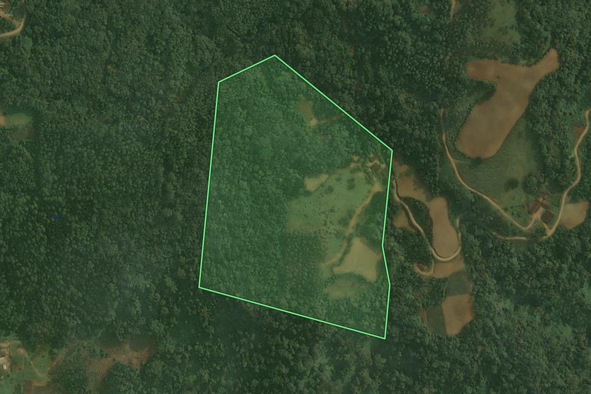 Imagem de satélite do imóvel rural em Benedito Novo (SC), com o contorno declarado no CAR desenhado por cima.