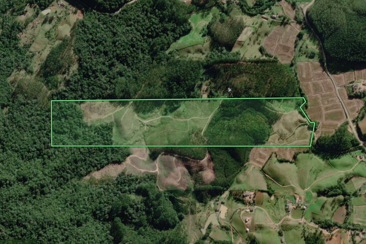 Imagem de satélite do imóvel rural em Benedito Novo (SC), com o contorno declarado no CAR desenhado por cima.