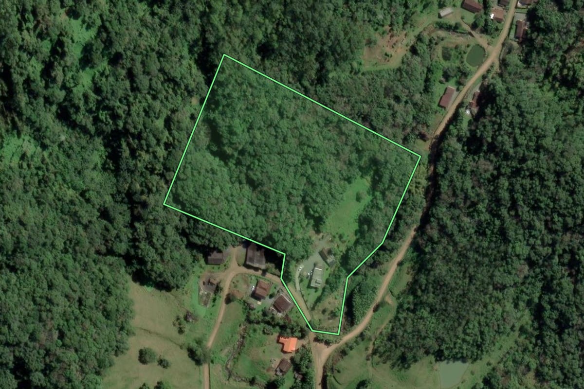 Imagem de satélite do imóvel rural em Benedito Novo (SC), com o contorno declarado no CAR desenhado por cima.