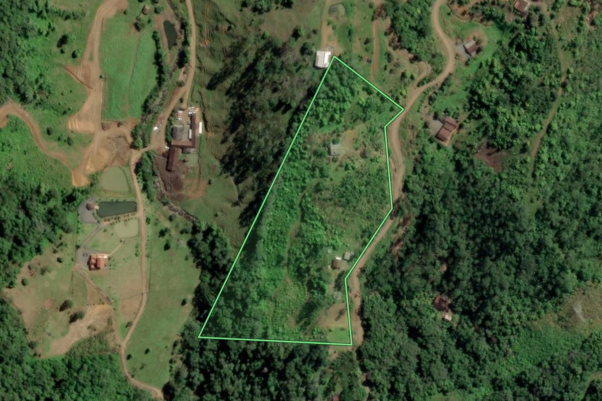 Imagem de satélite do imóvel rural em Benedito Novo (SC), com o contorno declarado no CAR desenhado por cima.