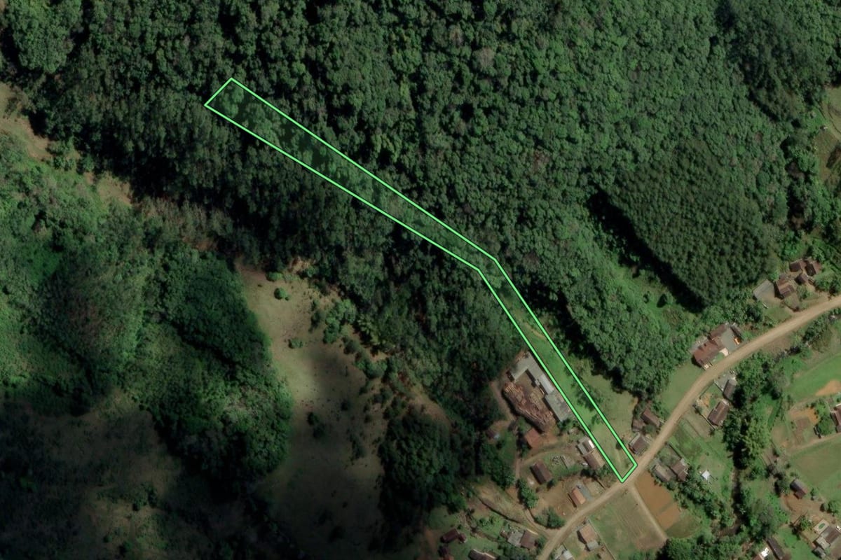 Imagem de satélite do imóvel rural em Benedito Novo (SC), com o contorno declarado no CAR desenhado por cima.