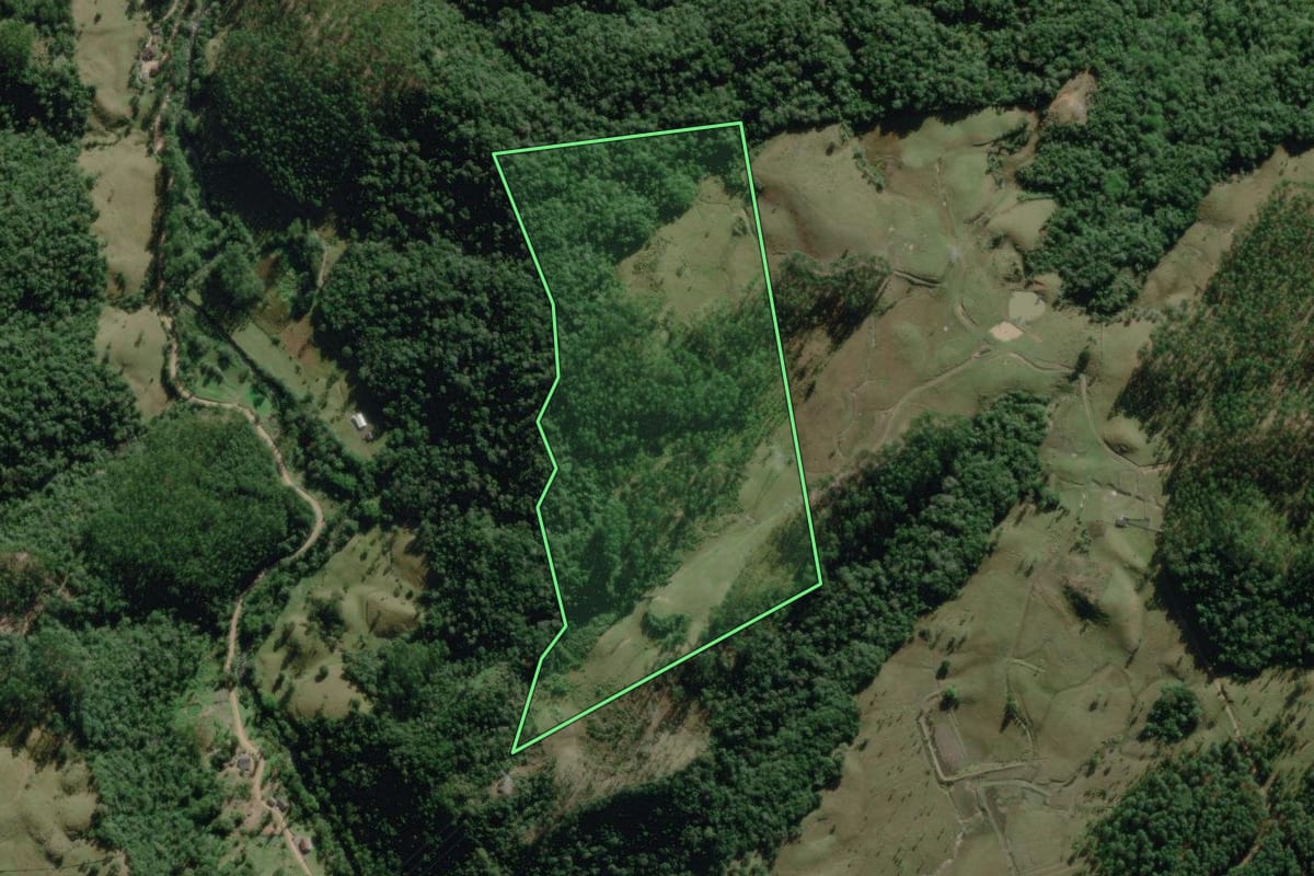 Imagem de satélite do imóvel rural em Benedito Novo (SC), com o contorno declarado no CAR desenhado por cima.