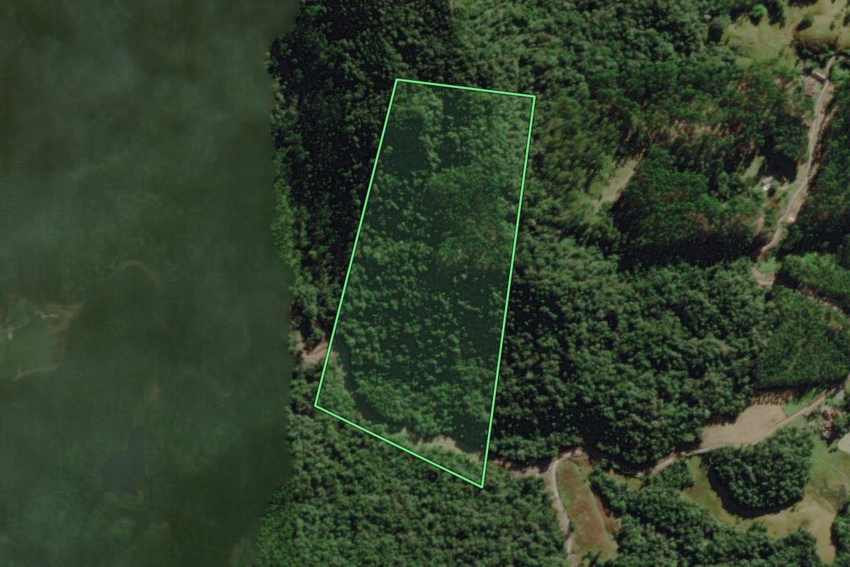 Imagem de satélite do imóvel rural em Benedito Novo (SC), com o contorno declarado no CAR desenhado por cima.