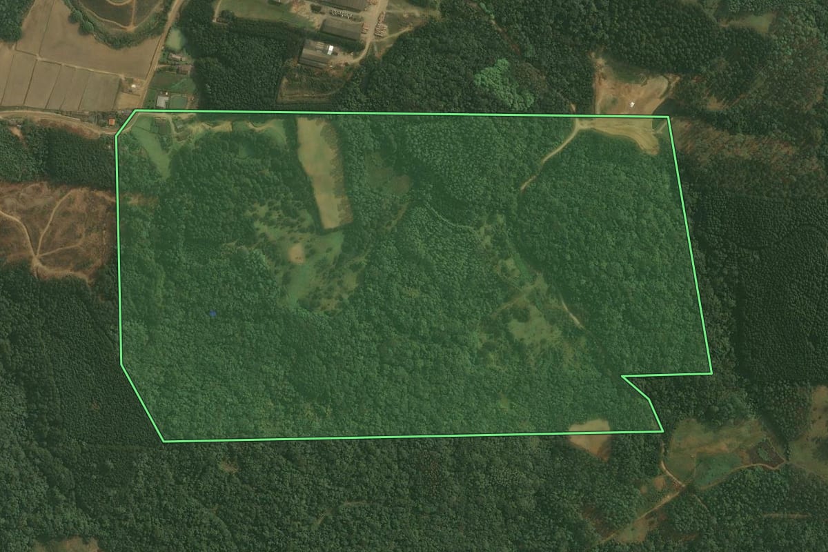 Imagem de satélite do imóvel rural em Benedito Novo (SC), com o contorno declarado no CAR desenhado por cima.