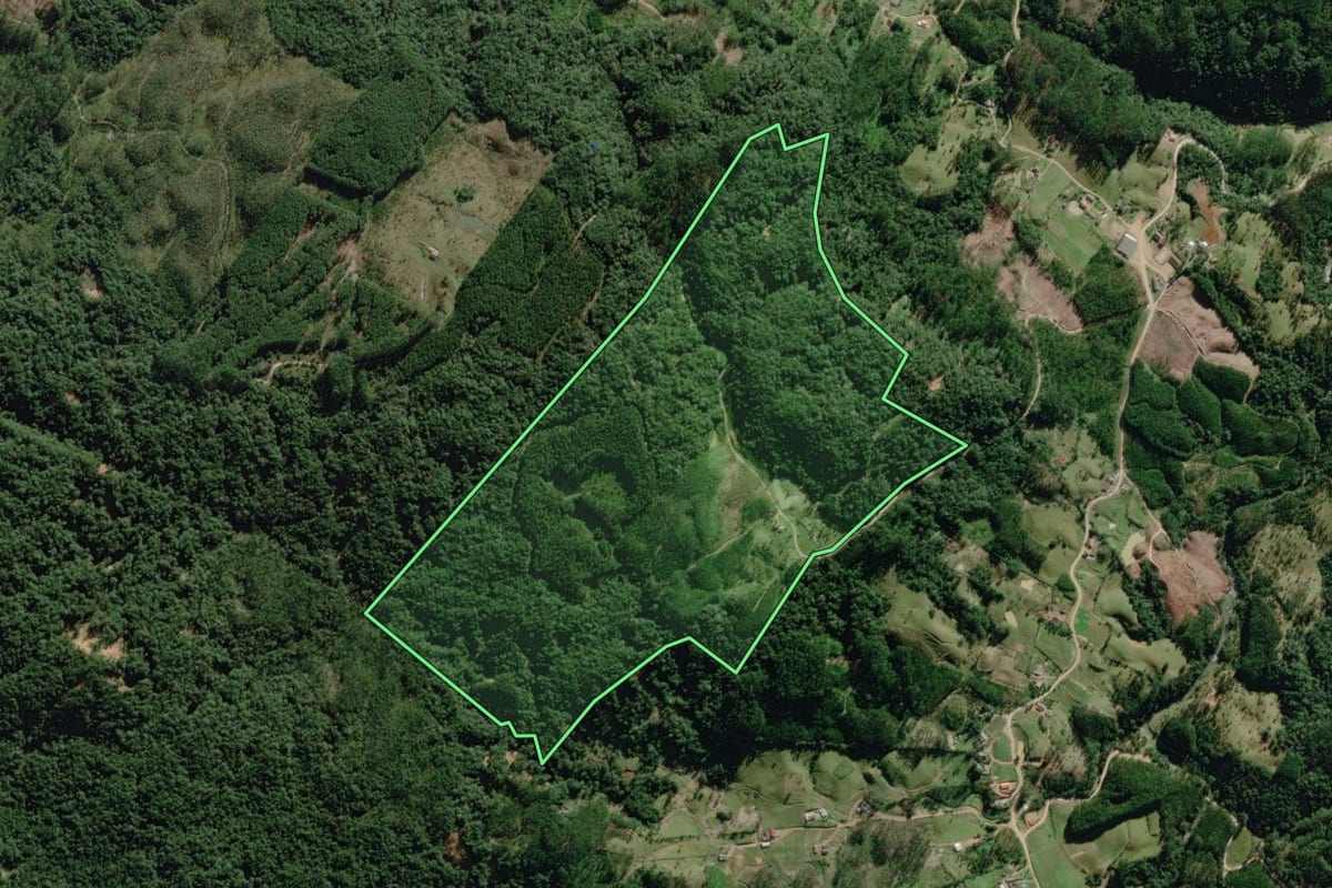 Imagem de satélite do imóvel rural em Benedito Novo (SC), com o contorno declarado no CAR desenhado por cima.