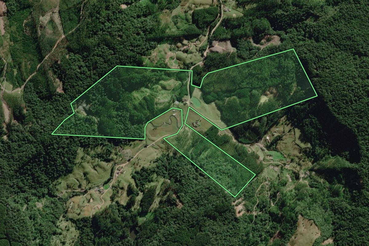 Imagem de satélite do imóvel rural em Benedito Novo (SC), com o contorno declarado no CAR desenhado por cima.