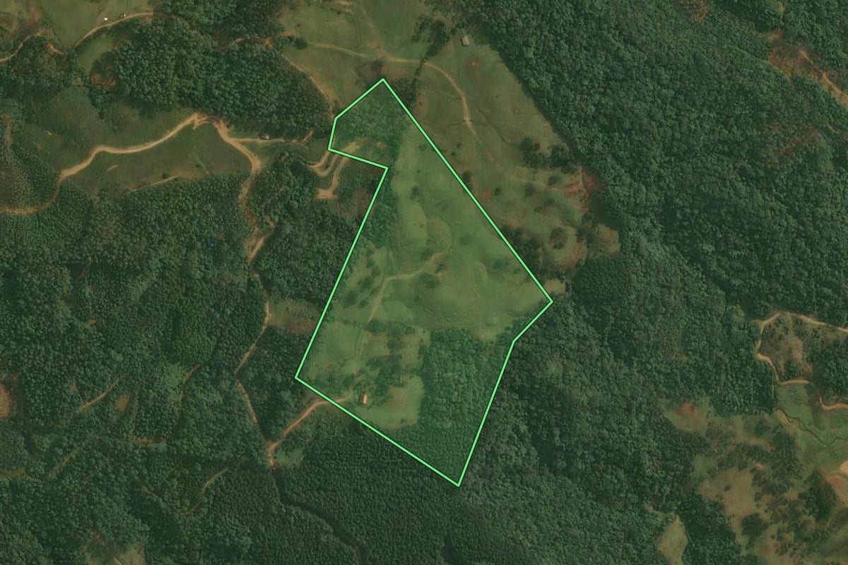 Imagem de satélite do imóvel rural em Benedito Novo (SC), com o contorno declarado no CAR desenhado por cima.