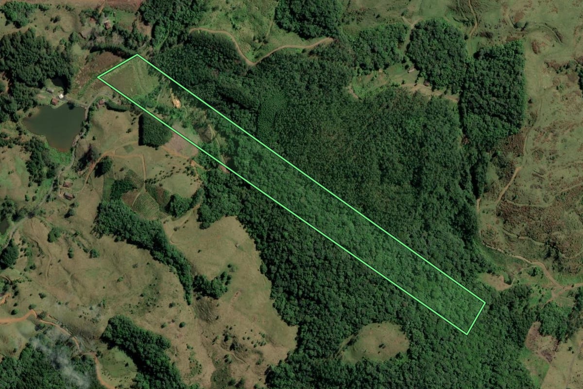 Imagem de satélite do imóvel rural em Benedito Novo (SC), com o contorno declarado no CAR desenhado por cima.