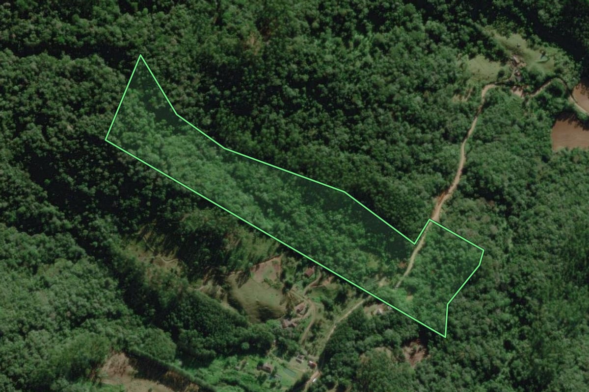 Imagem de satélite do imóvel rural em Benedito Novo (SC), com o contorno declarado no CAR desenhado por cima.