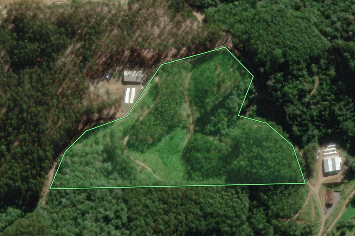 Imagem de satélite do imóvel rural em Benedito Novo (SC), com o contorno declarado no CAR desenhado por cima.