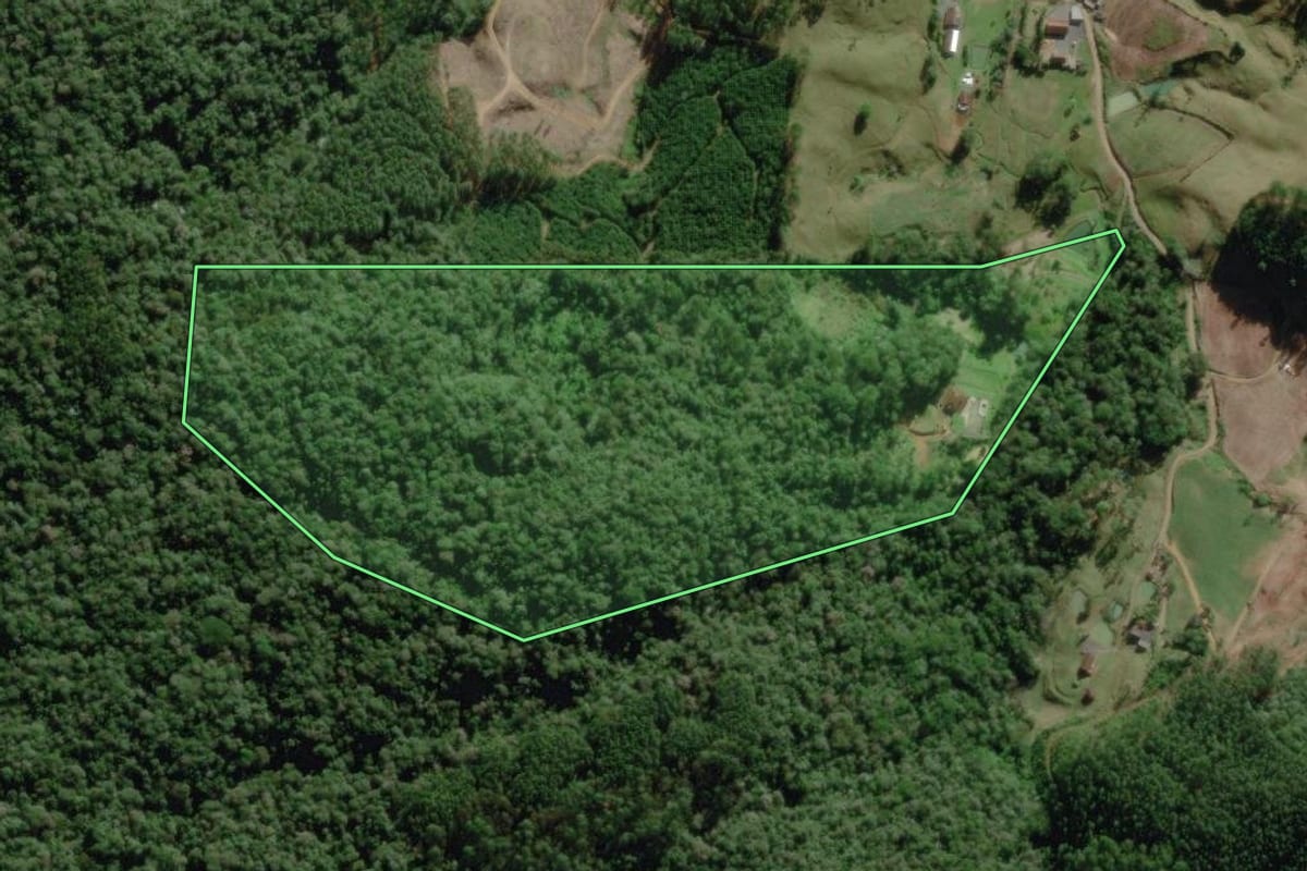 Imagem de satélite do imóvel rural em Benedito Novo (SC), com o contorno declarado no CAR desenhado por cima.