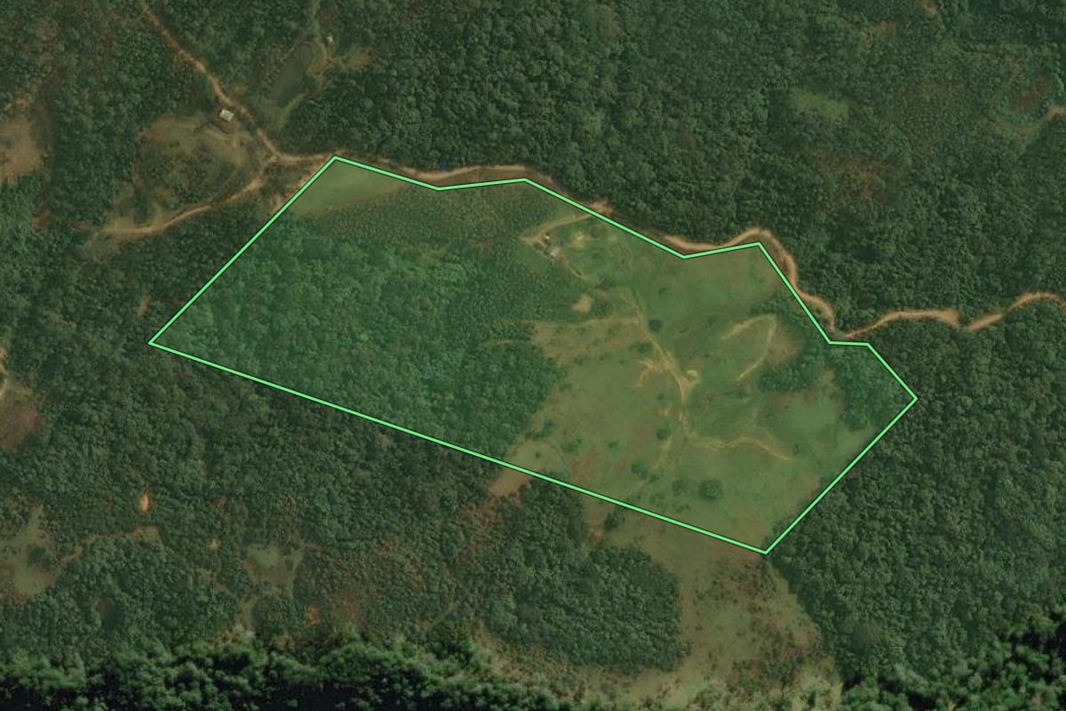 Imagem de satélite do imóvel rural em Benedito Novo (SC), com o contorno declarado no CAR desenhado por cima.