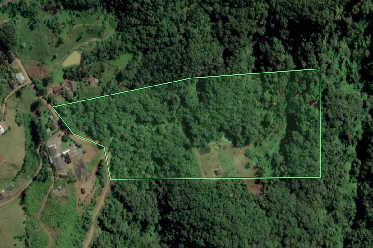 Imagem de satélite do imóvel rural em Benedito Novo (SC), com o contorno declarado no CAR desenhado por cima.