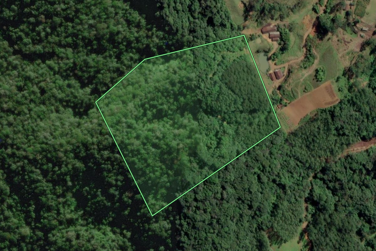 Imagem de satélite do imóvel rural em Benedito Novo (SC), com o contorno declarado no CAR desenhado por cima.