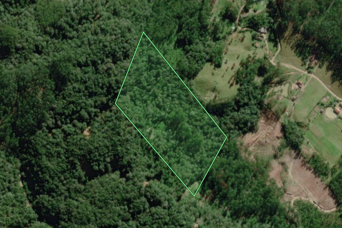 Imagem de satélite do imóvel rural em Benedito Novo (SC), com o contorno declarado no CAR desenhado por cima.