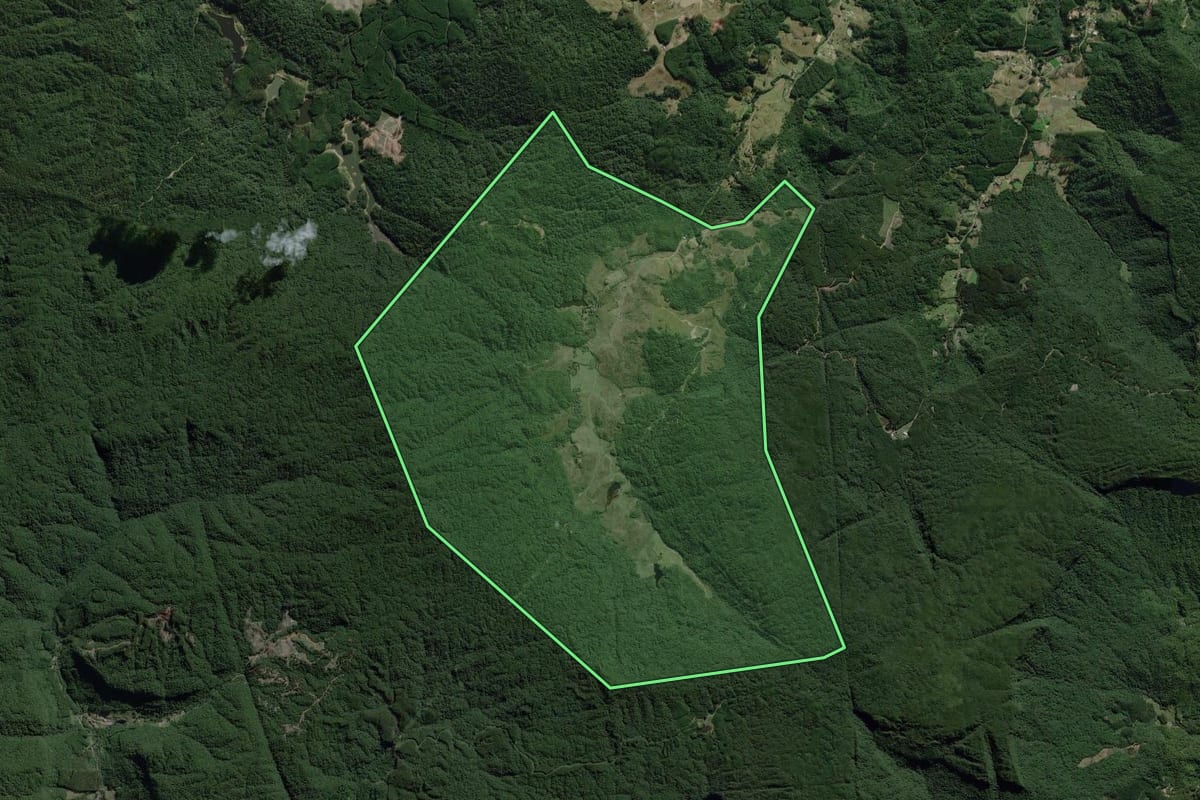 Imagem de satélite do imóvel rural em Benedito Novo (SC), com o contorno declarado no CAR desenhado por cima.