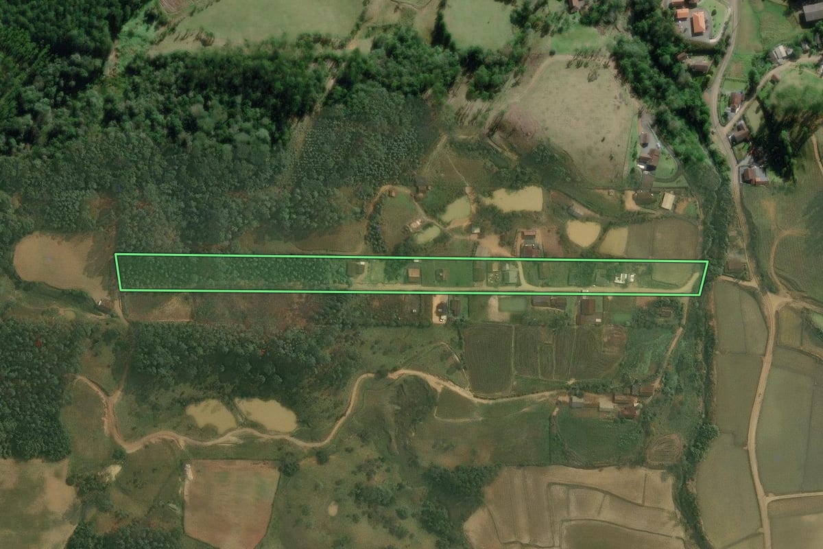 Imagem de satélite do imóvel rural em Benedito Novo (SC), com o contorno declarado no CAR desenhado por cima.