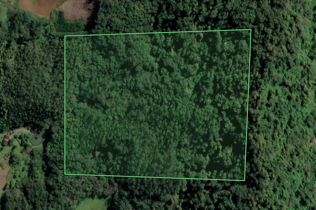 Imagem de satélite do imóvel rural em Benedito Novo (SC), com o contorno declarado no CAR desenhado por cima.