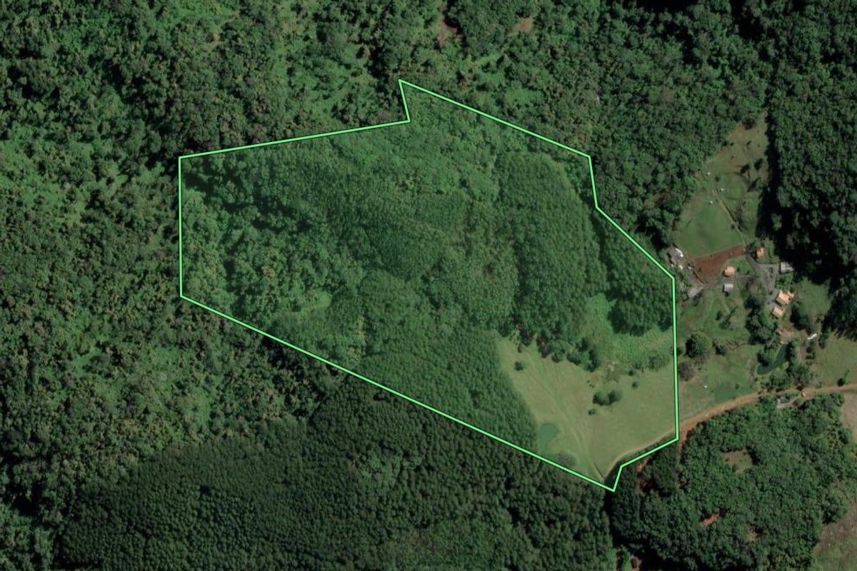 Imagem de satélite do imóvel rural em Benedito Novo (SC), com o contorno declarado no CAR desenhado por cima.