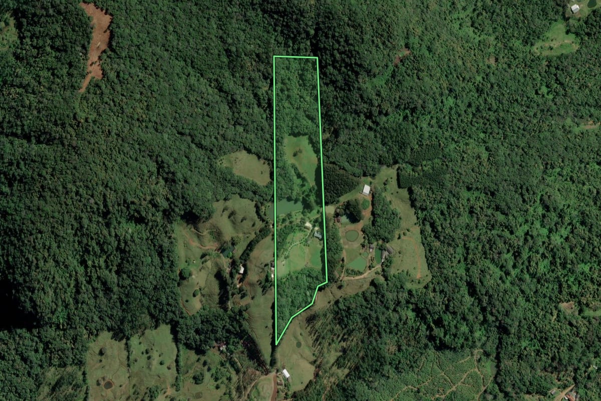 Imagem de satélite do imóvel rural em Benedito Novo (SC), com o contorno declarado no CAR desenhado por cima.