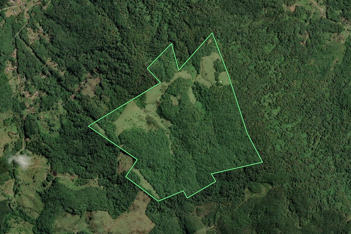 Imagem de satélite do imóvel rural em Benedito Novo (SC), com o contorno declarado no CAR desenhado por cima.