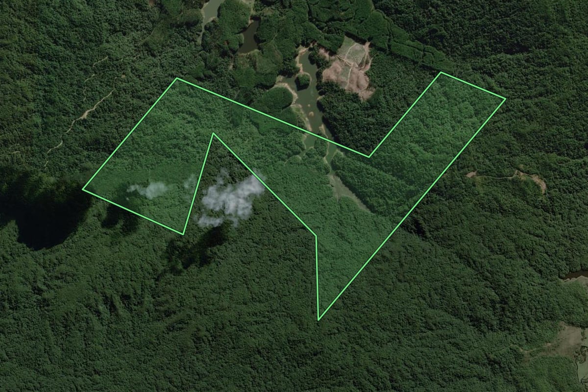 Imagem de satélite do imóvel rural em Benedito Novo (SC), com o contorno declarado no CAR desenhado por cima.