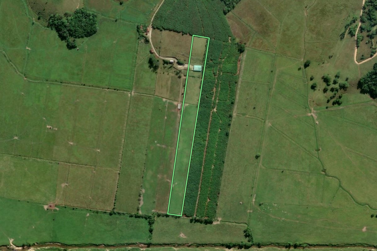 Imagem de satélite do imóvel rural em Biguaçu (SC), com o contorno declarado no CAR desenhado por cima.