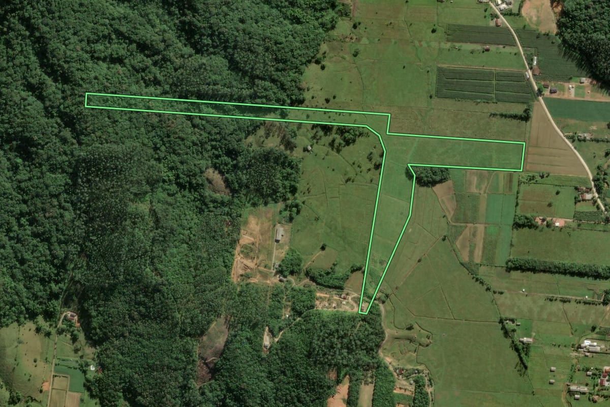 Imagem de satélite do imóvel rural em Biguaçu (SC), com o contorno declarado no CAR desenhado por cima.