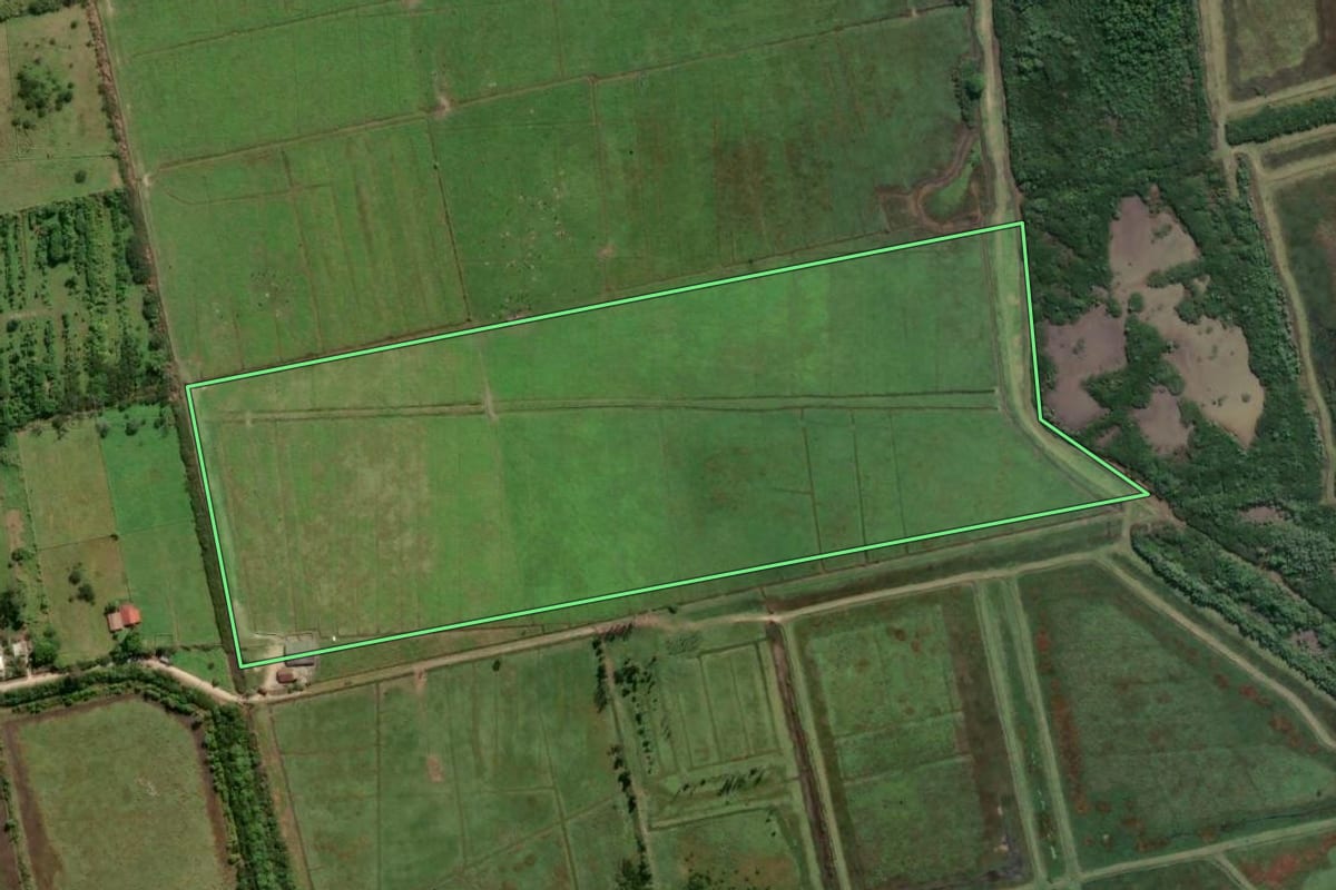 Imagem de satélite do imóvel rural em Biguaçu (SC), com o contorno declarado no CAR desenhado por cima.