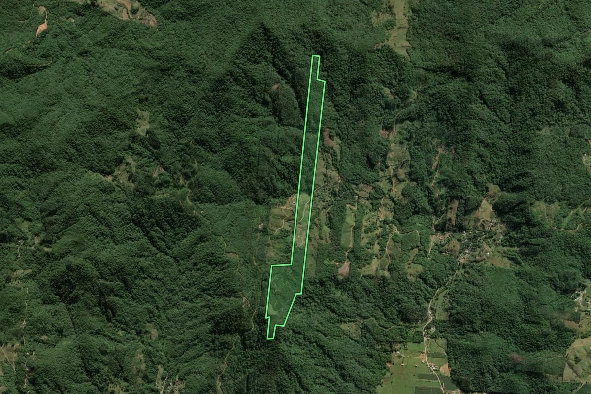 Imagem de satélite do imóvel rural em Biguaçu (SC), com o contorno declarado no CAR desenhado por cima.