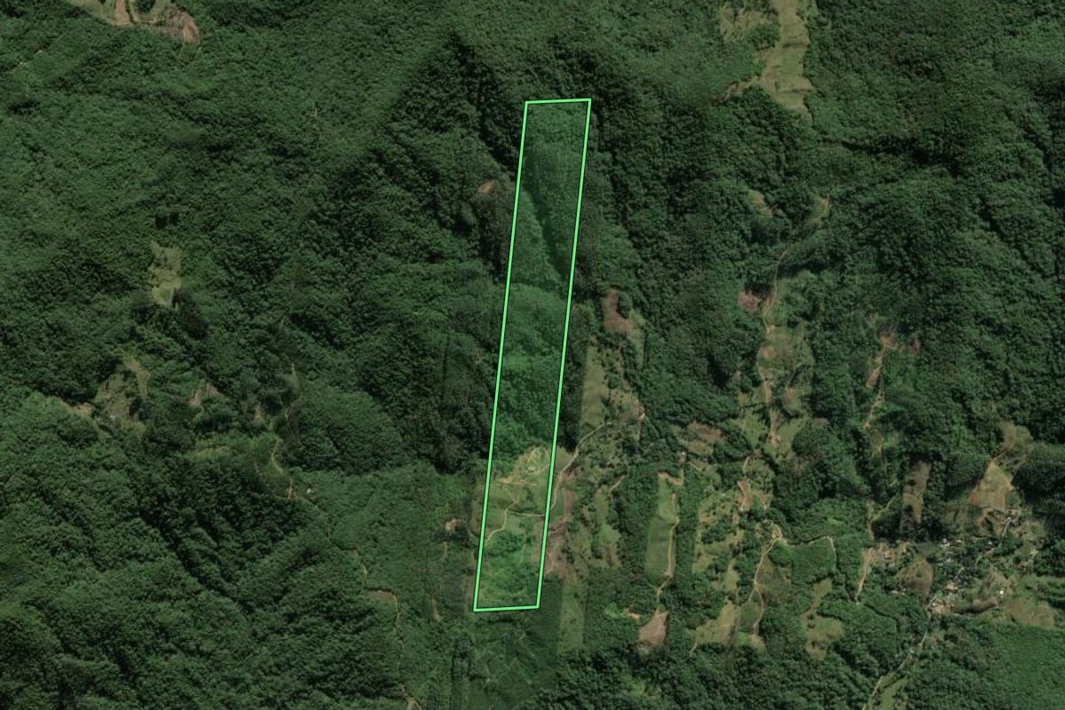 Imagem de satélite do imóvel rural em Biguaçu (SC), com o contorno declarado no CAR desenhado por cima.