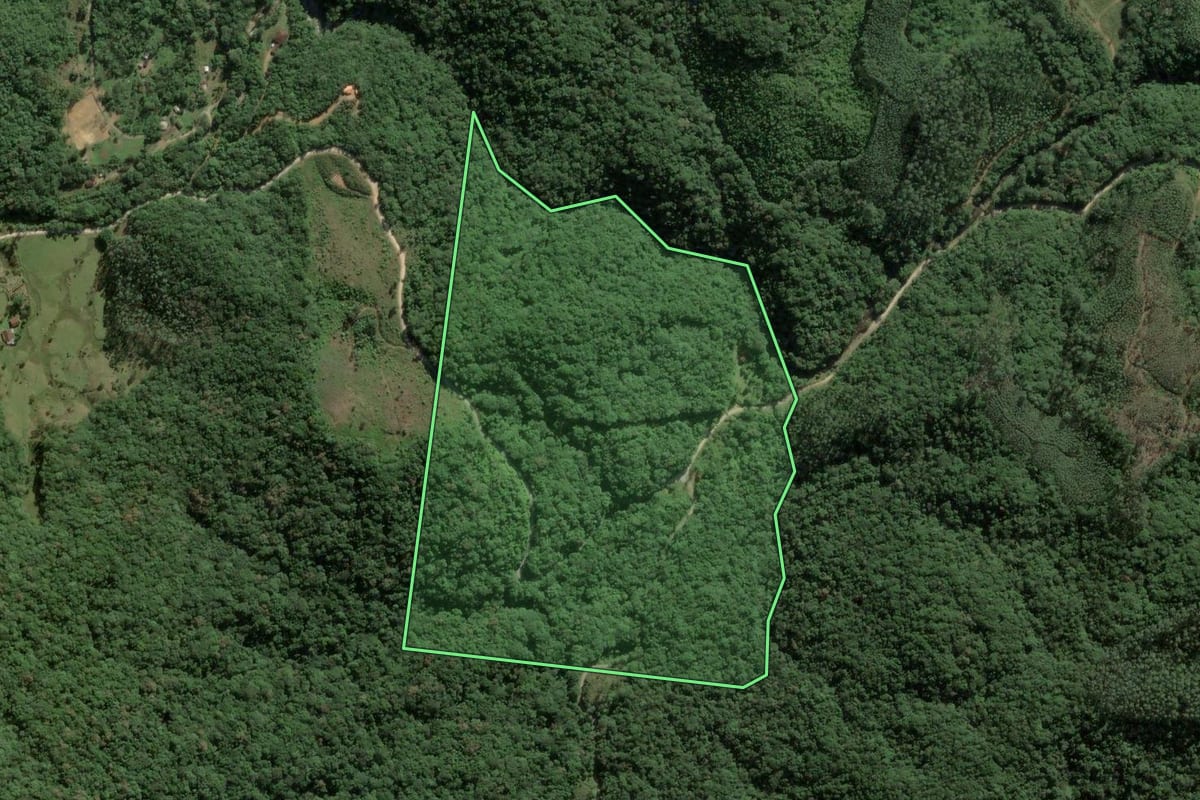 Imagem de satélite do imóvel rural em Biguaçu (SC), com o contorno declarado no CAR desenhado por cima.