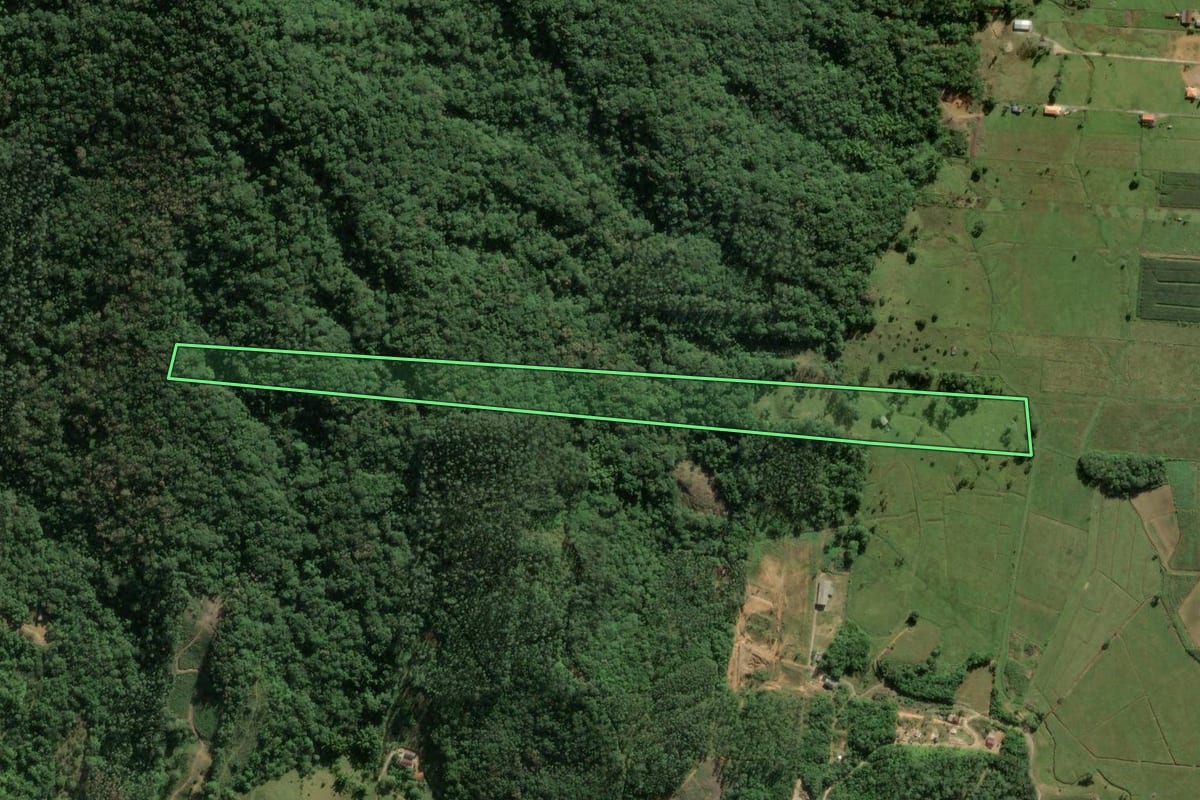 Imagem de satélite do imóvel rural em Biguaçu (SC), com o contorno declarado no CAR desenhado por cima.